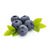 Bilberry