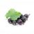 Blackcurrant