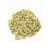 Fennel Seeds