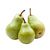 Pear (Conference)