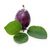 Plum (Prune)