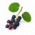 Serviceberry