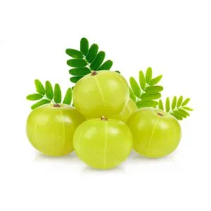 Amla (Fresh) ingredient used in liqueur recipes