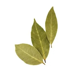 Bay Leaf - ingredient for homemade liqueurs and infusions
