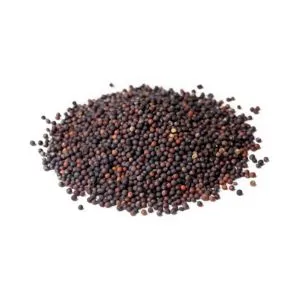Black Mustard Seeds - ingredient for homemade liqueurs and infusions