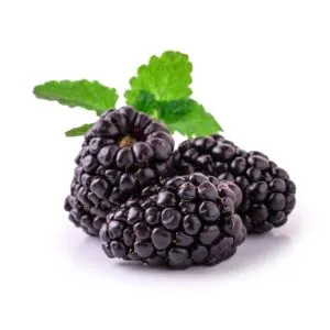 Blackberry ingredient used in liqueur recipes