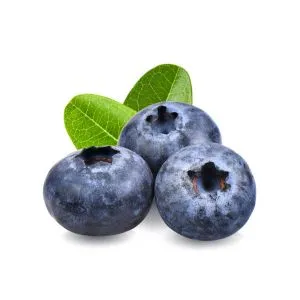 Blueberry ingredient used in liqueur recipes