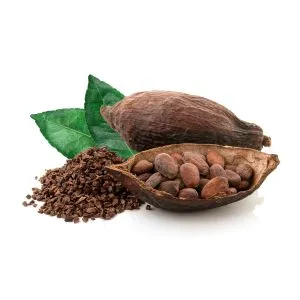 Cacao Nibs ingredient used in liqueur recipes
