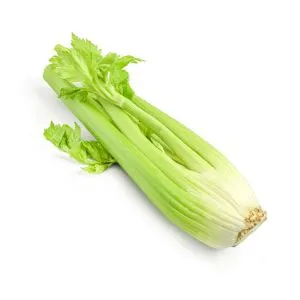 Celery - ingredient for homemade liqueurs and infusions
