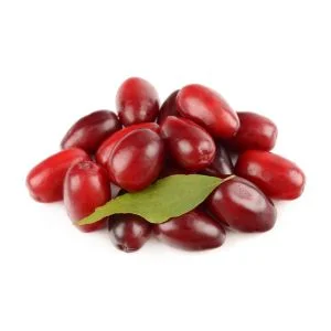Cornelian Cherry