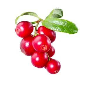 Cranberry