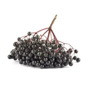 Elderberry ingredient used in liqueur recipes