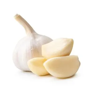 Garlic - ingredient for homemade liqueurs and infusions