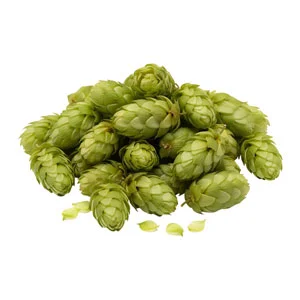 Hops