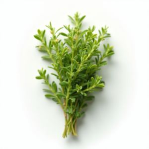 Lemon Thyme