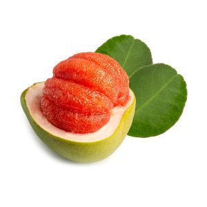 Pomelo (Red)