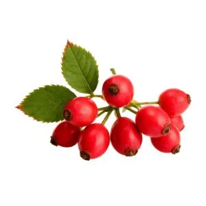 Rose Hip
