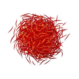 Saffron used in flavouring homemade liqueurs