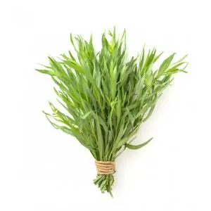 Tarragon - ingredient for homemade liqueurs and infusions