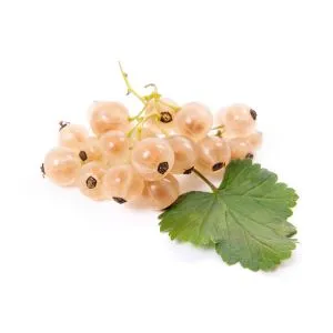 White Currant ingredient used in liqueur recipes