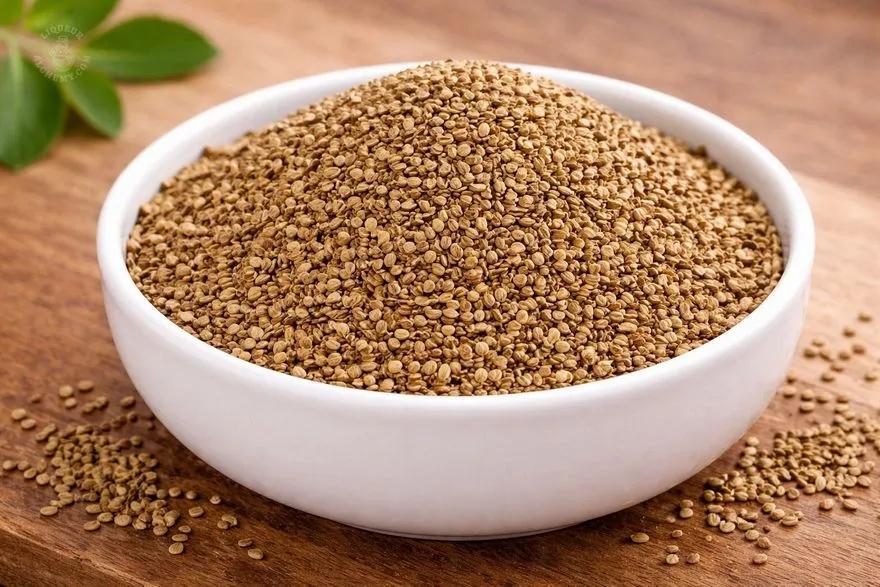 Celery Seeds