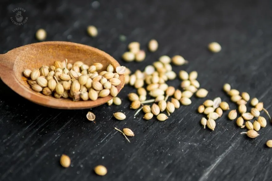 Coriander Seeds