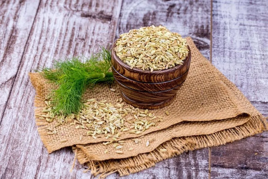 Fennel Seeds
