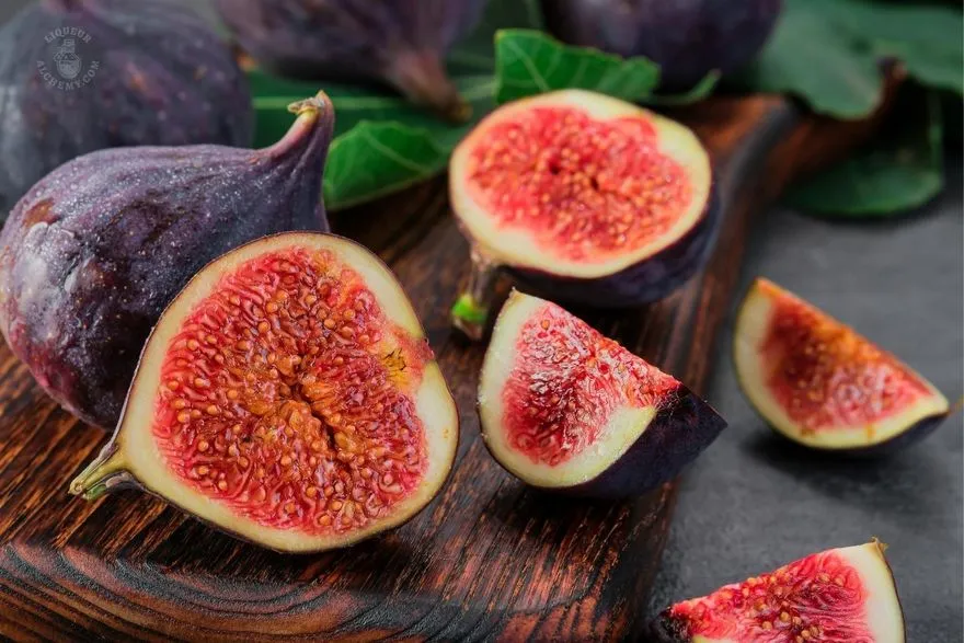 Fig