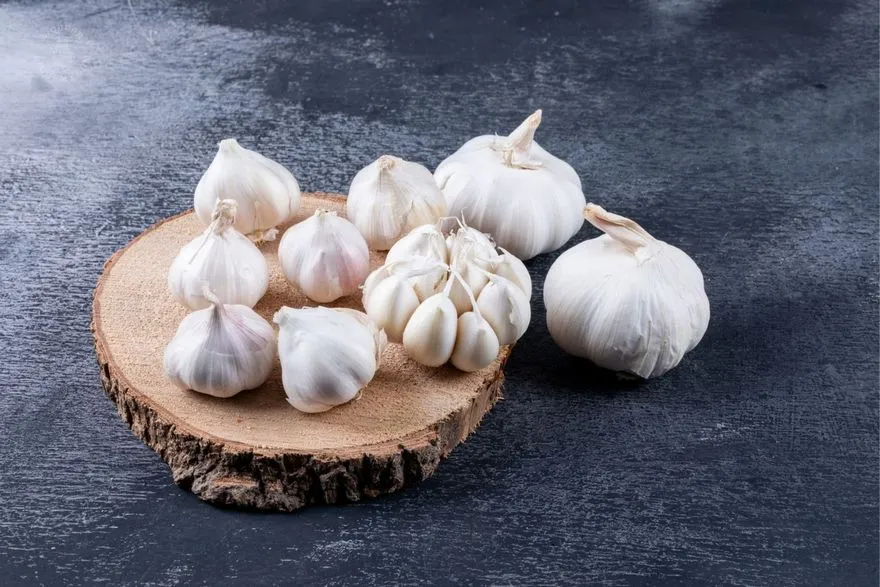 Garlic