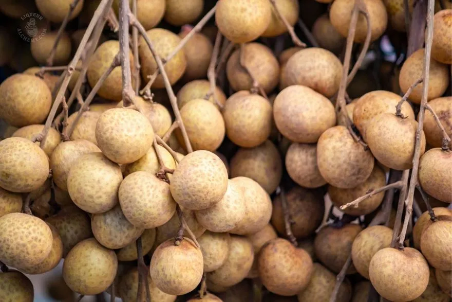 Longan