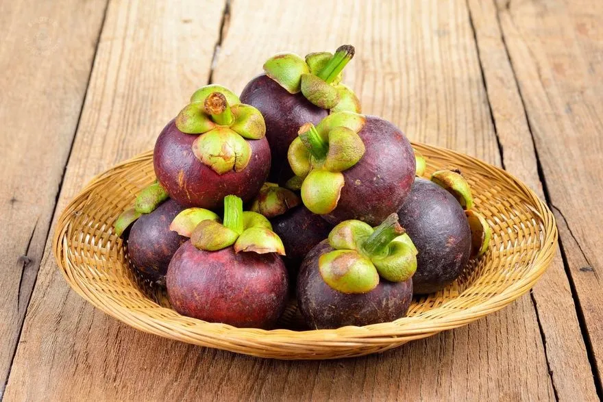 Mangosteen