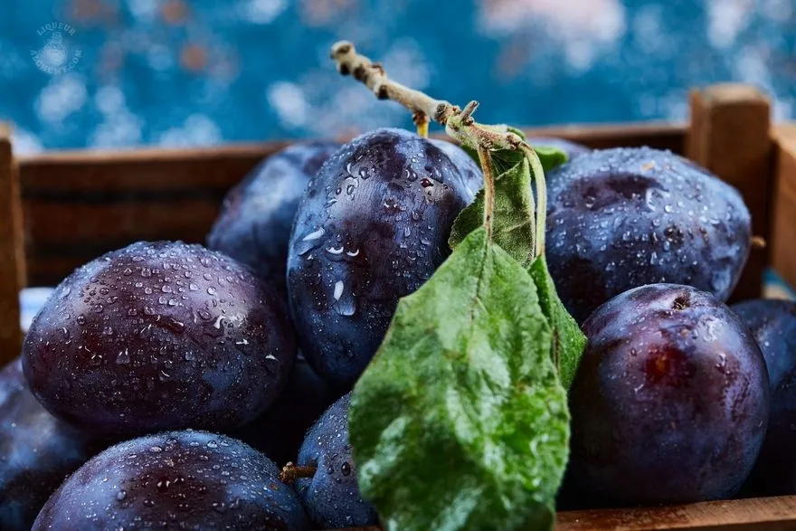 Plum (Prune)