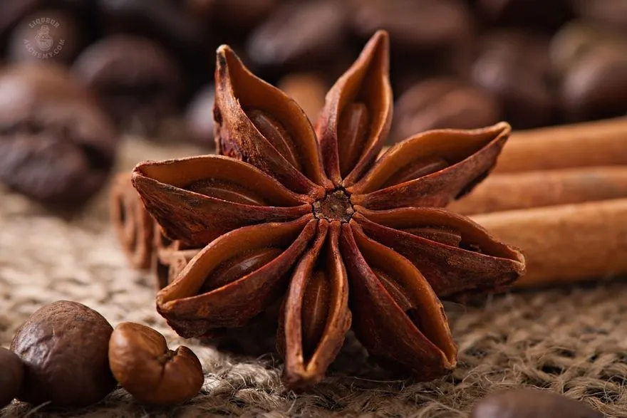 Star Anise