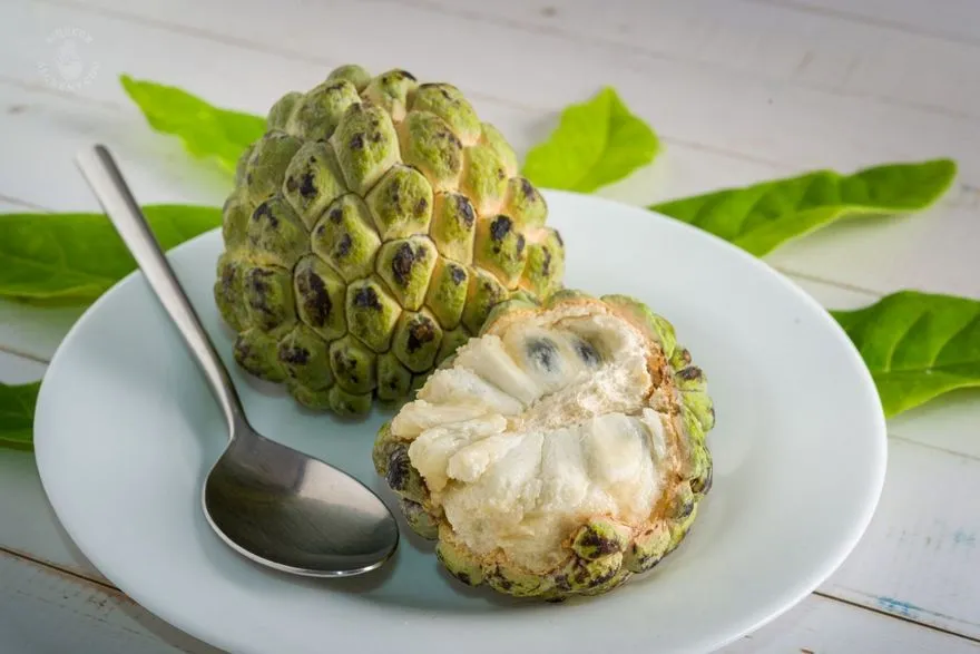 Sugar Apple