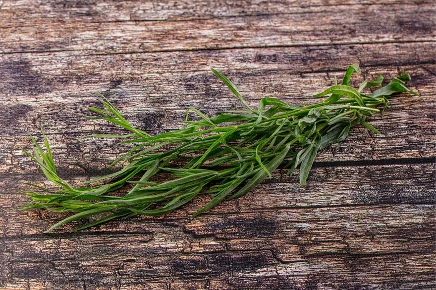 Tarragon